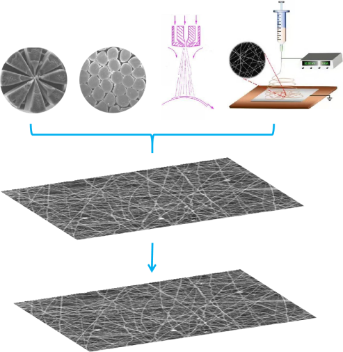 问鼎娱乐下载科技