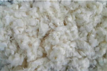 问鼎娱乐下载科技